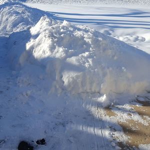 Meet your Posher, Abigail